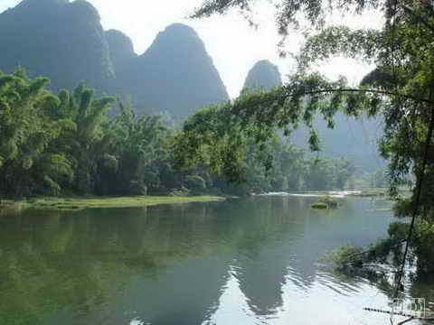 柳州周边游：相思林、古榕、天门一日游