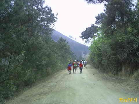 柳州周边游：迷雾中的大岩山