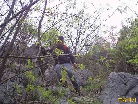 柳州周边游：迷雾中的大岩山