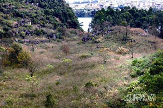 蛮王城：闹市边缘寻古踪