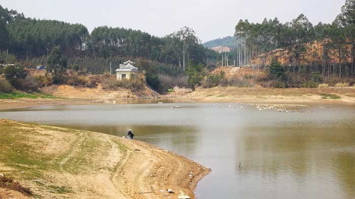 柳州周边游：春游龙母水库