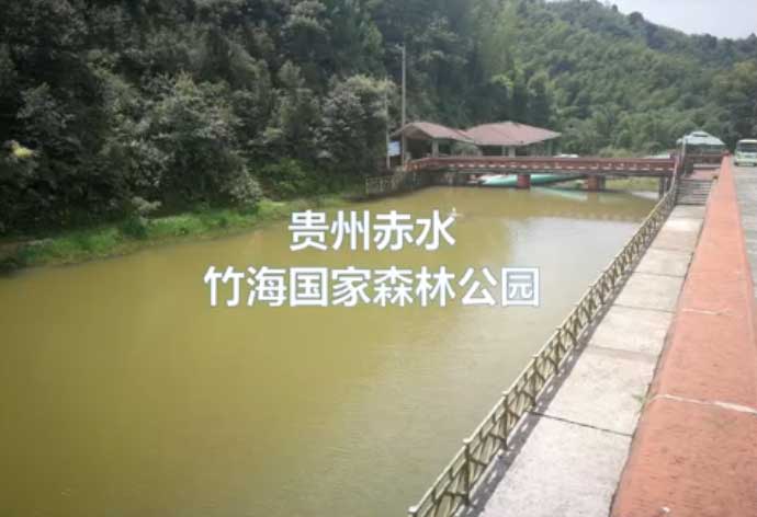 贵州之行：赤水竹海国家森林公园